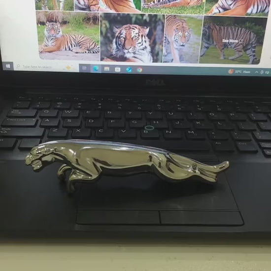 Vidoes of Jaguar_Lighter_Green_Flame