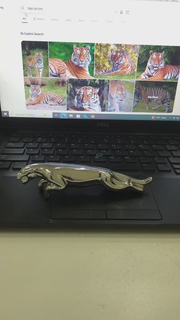 Vidoes of Jaguar_Lighter_Green_Flame