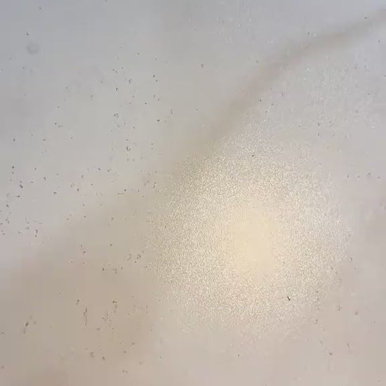 Video for the focus cigarette case 